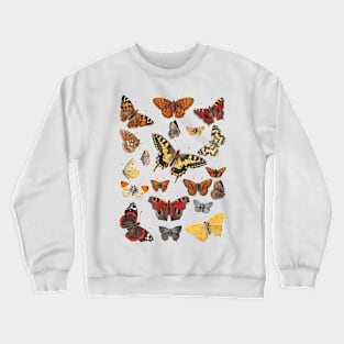 Group of Butterflies - Vintage Insect/Bug Illustration Crewneck Sweatshirt